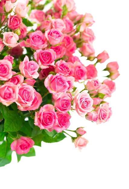 Piękny bukiet róż kwiaty na białym tle