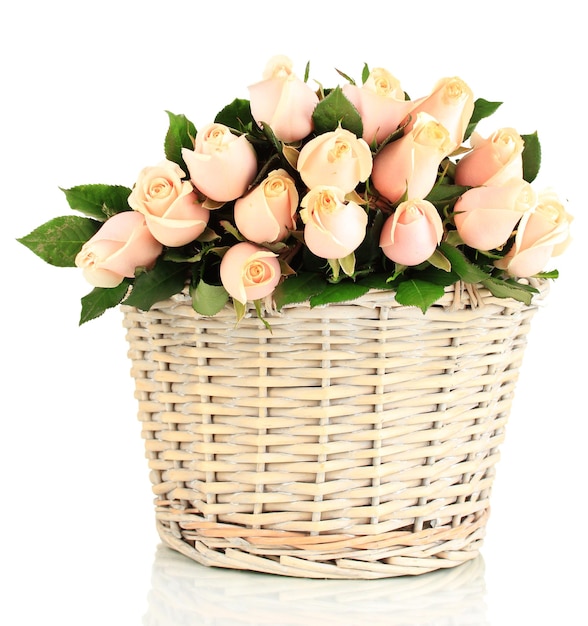 Piękny bukiet róż w koszu na białym tle