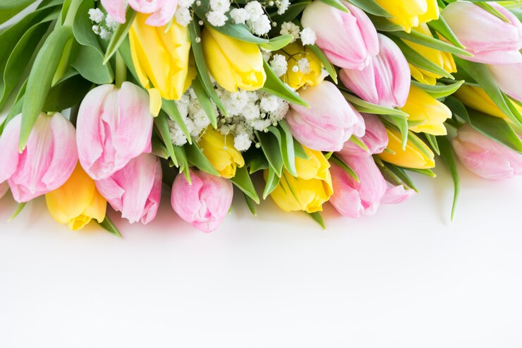 Zdjęcie piękny bukiet różowego i żółtego tulipana