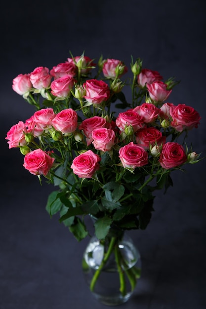 Piękny bukiet różowych czerwonych krzewów róż na czarnym tle Selektywne zbliżenie ostrości
