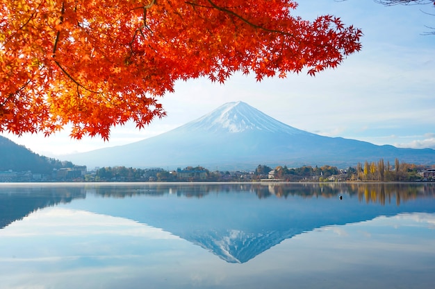 Piękny czerwony liść klonu z Mt.Fuji w Japonii jesienią.