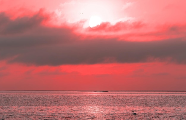 Piękny czerwony zachód słońca ciemne chmury i Ocean Atlantycki na horyzoncie