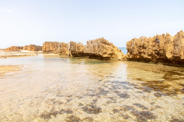 Piękny dzień na plaży w Rimel Bizerte Tunezja