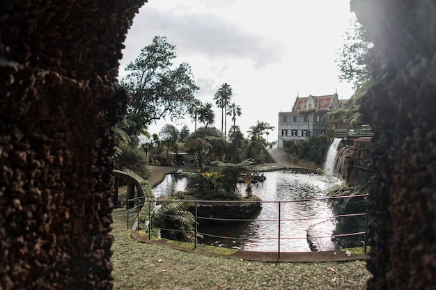 Piękny egzotyczny ogród z palmami, stawem, palmami, wodospadem i Monte Palace Podróżując po Maderze
