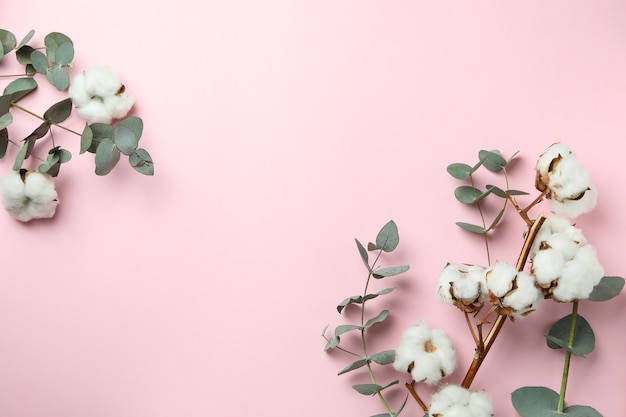 Zdjęcie piękny eukaliptus i bawełna na różowym tle