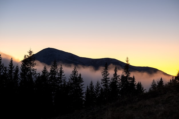 Piękny górski krajobraz z zamglonymi szczytami i mglistą zalesioną doliną o zachodzie słońca.