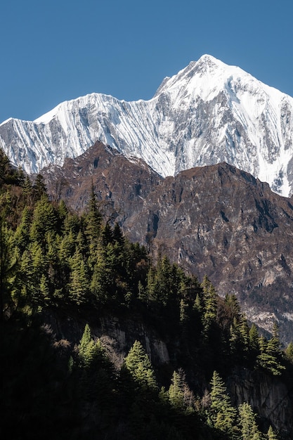 Piękny górski krajobraz ze skałami lasu iglastego i ośnieżonymi szczytami w Nepalu