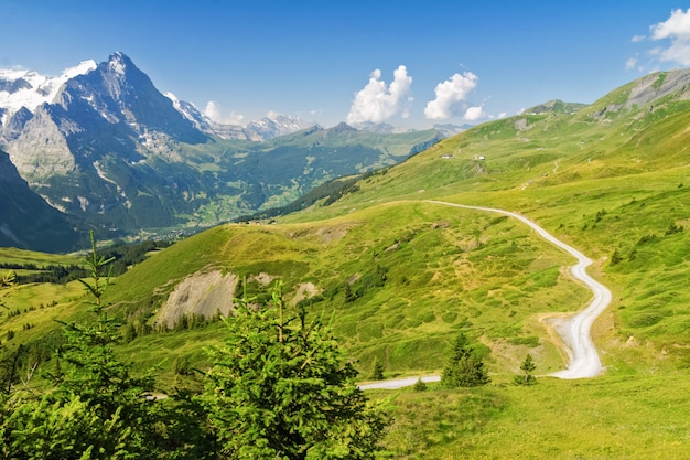 Piękny idylliczny krajobraz Alp z górami w lecie, Szwajcaria