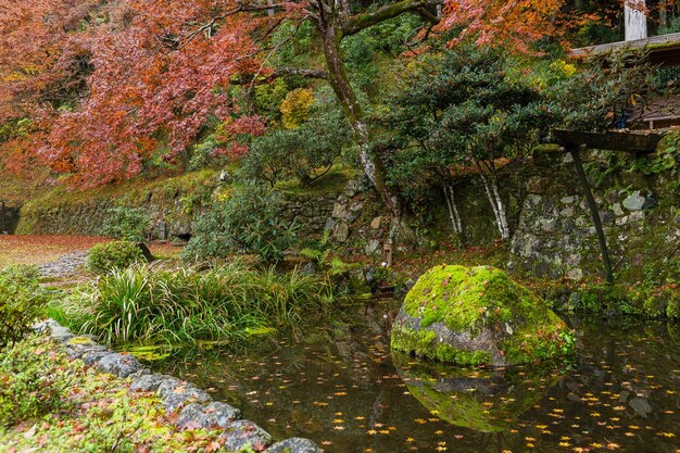 Piękny japoński park