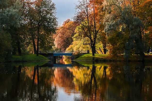 Piękny Jesienny Krajobraz Na Wyspie Elagin, Sankt Petersburg, Rosja.