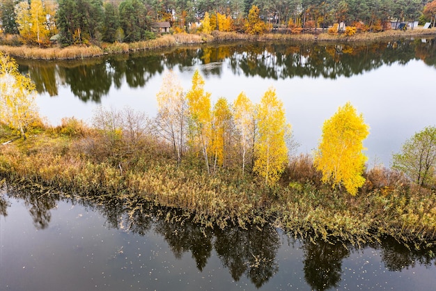 Piękny jesienny krajobraz z odbiciem brzóz w sezonowym tle jeziora