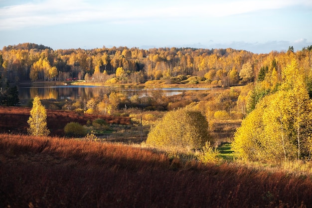 Piękny jesienny krajobraz z wiejskim jeziorem otoczonym kolorowymi drzewami