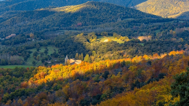 Piękny jesienny las bukowy w górach Montseny w Hiszpanii