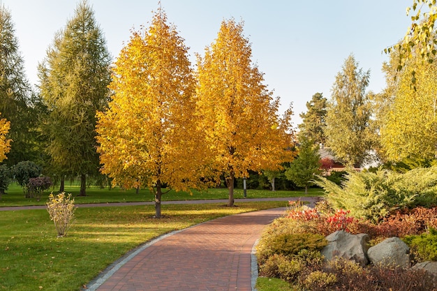 Piękny jesienny park przy słonecznej pogodzie. chodnik w jesiennym parku