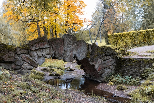 Piękny jesienny park przy słonecznej pogodzie