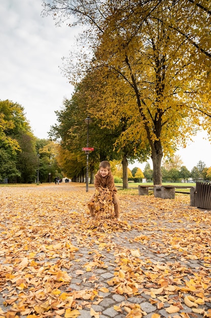 Piękny jesienny widok w parku parkautumn z żółtymi drzewami i żółtą trawą w mieście Ingolstadt w Bawarii w Niemczech