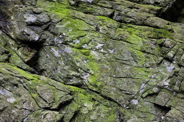 Piękny kamień naturalny z zielonym mchem i porostami.