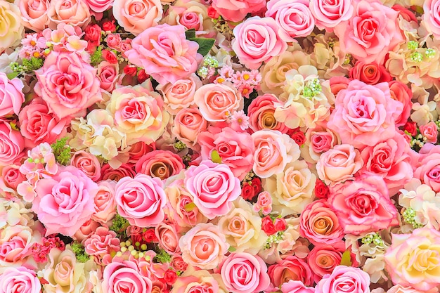 Piękny kolorowy róż tło