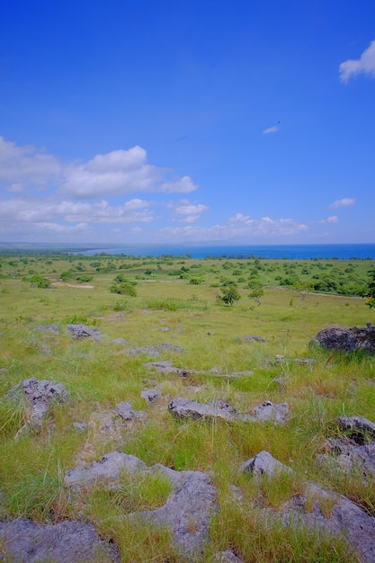 Piękny krajobraz East Sumba lub Sumba Timur, położony na wyspie Sumba, Nusa Tenggara Timur, Indonezja.