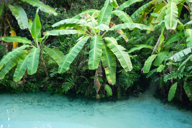 Zdjęcie piękny krajobraz fervedouro do jalapao tocantins