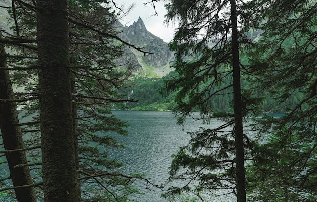 Piękny krajobraz gór i jeziora