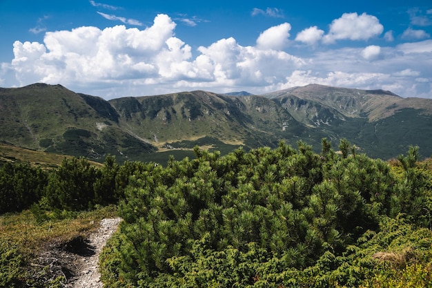 Piękny krajobraz gór Karpat na Ukrainie