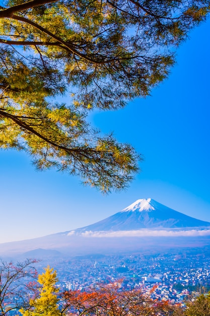 Piękny Krajobraz Halny Fuji Wokoło Liścia Klonowego Drzewa W Jesieni Przyprawia