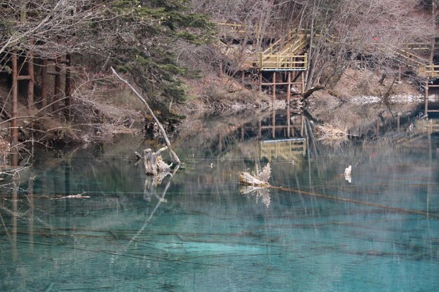 Zdjęcie piękny krajobraz jeziora między górami z odbiciem drzew w wodzie w jiuzhaigou