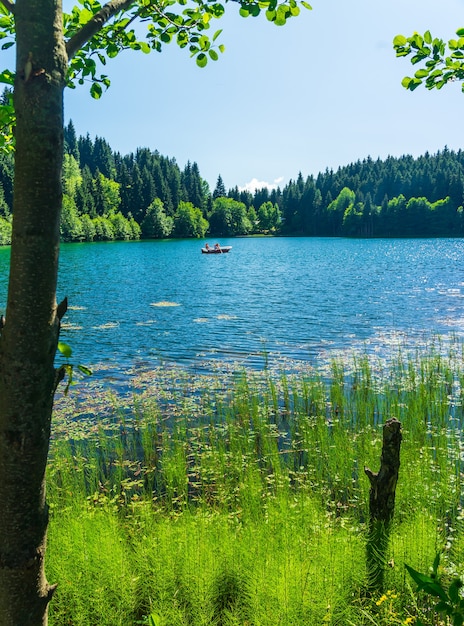 Zdjęcie piękny krajobraz jeziora z parku przyrody borcka karagol