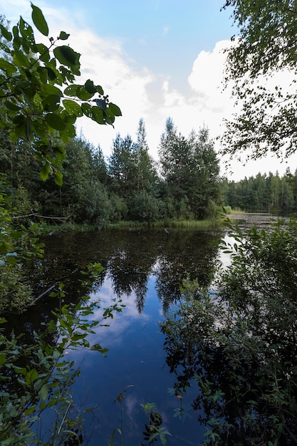 Piękny krajobraz las jezioro drzewa i chmury