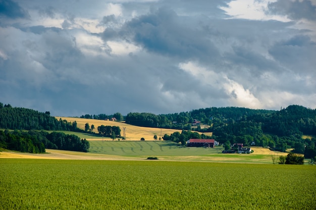 Piękny Krajobraz Norwegii Latem 2014