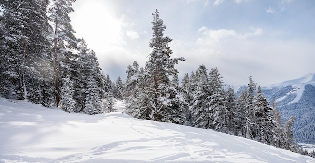 Piękny krajobraz ośrodka narciarskiego Arkhyz z górami, śniegiem i lasem w słoneczny zimowy dzień Kaukaz Mountains Rosja