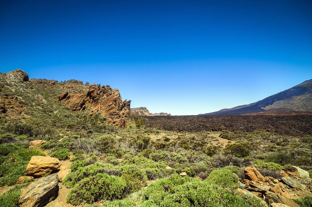 Piękny krajobraz Parku Narodowego Teide Teneryfa Wyspy Kanaryjskie Hiszpania