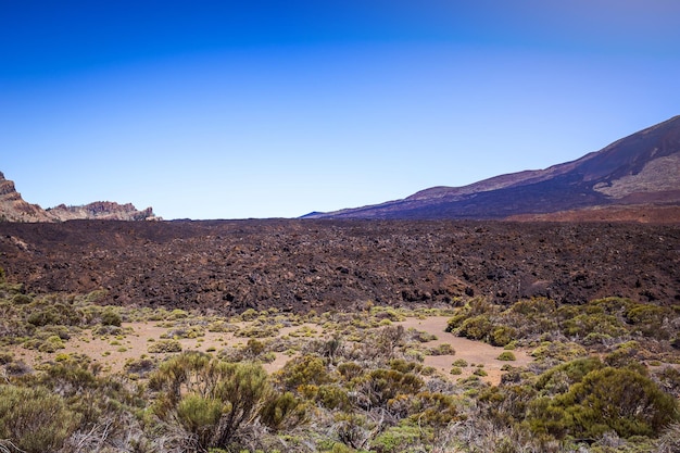 Piękny krajobraz Parku Narodowego Teide Teneryfa Wyspy Kanaryjskie Hiszpania