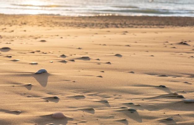 Piękny krajobraz piaszczystej plaży