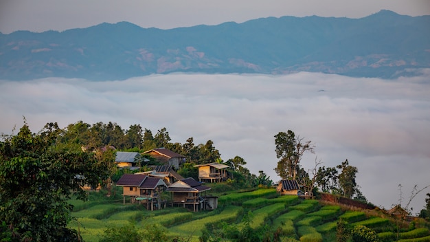 Piękny krajobraz. Pola ryżowe w wiosce Pa Pong Pieng, Mae Chaem, Chiang Mai, Tajlandia.