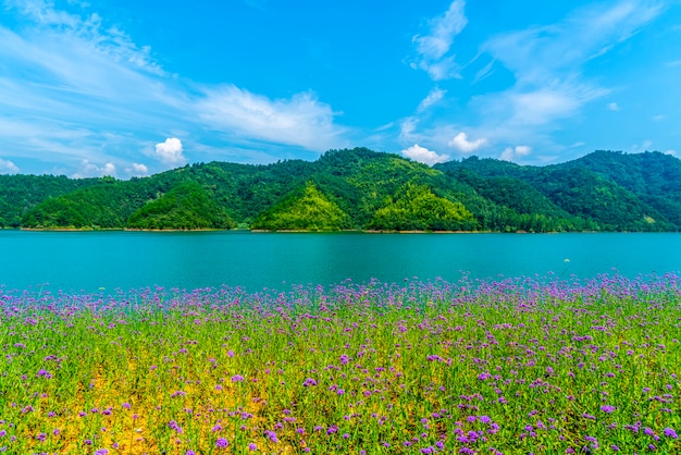 Piękny krajobraz Qiandao Lake