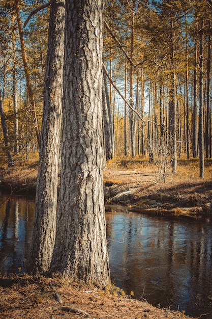 Piękny krajobraz Syberii