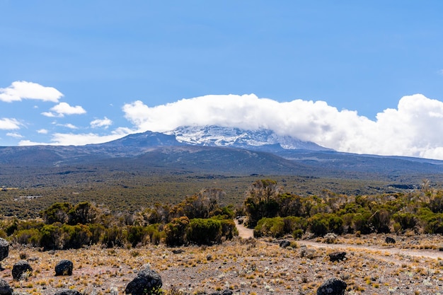 Piękny krajobraz Tanzanii i Kenii z góry Kilimandżaro. Skały, krzaki i pusty teren wulkaniczny wokół wulkanu Kilimandżaro.