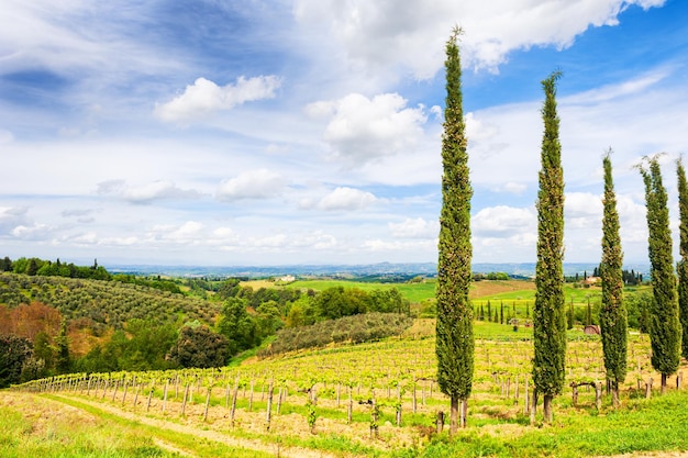 Piękny krajobraz Toskanii, San Gimignano, Włochy