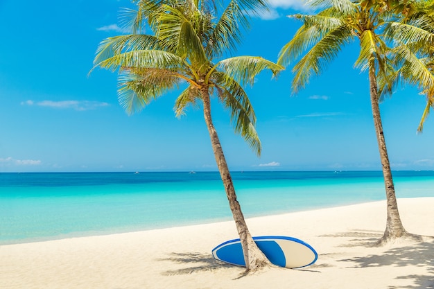 Piękny Krajobraz Tropikalnej Plaży Na Wyspie Boracay, Filipiny. Palmy Kokosowe, Morze, Paddleboard I Biały Piasek. Widok Natury. Koncepcja Wakacji Letnich.