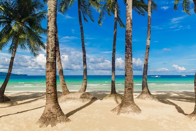 Piękny krajobraz tropikalnej plaży na wyspie Boracay, Filipiny. Palmy kokosowe, morze, żaglówka i biały piasek. Widok natury. Koncepcja wakacji letnich.