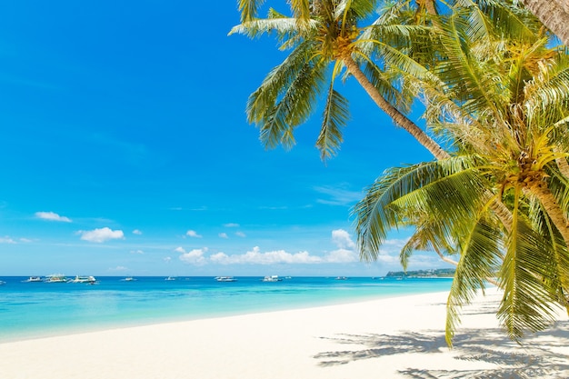 Piękny krajobraz tropikalnej plaży na wyspie Boracay, Filipiny. Palmy kokosowe, morze, żaglówka i biały piasek. Widok natury. Koncepcja wakacji letnich.