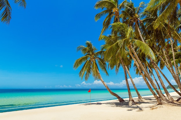 Piękny krajobraz tropikalnej plaży palmy kokosowe morze żaglówka i biały piasek