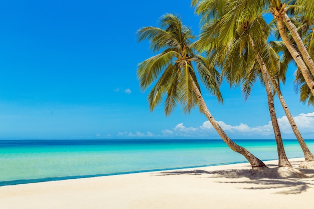 Piękny krajobraz tropikalnej plaży palmy kokosowe morze żaglówka i biały piasek
