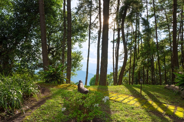 piękny krajobraz w Doi Mae Ta man, Chiang Mai, Tajlandia