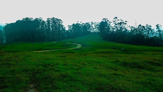 Piękny krajobraz w Indiach Terrains