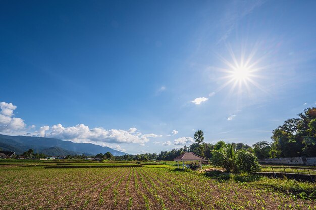 Piękny krajobraz widok na punkt widokowy wat phuket pua District nan.Phuket Temple to świątynia w prowincji Nan.Pua w środkowej części prowincji Nan, północna Tajlandia