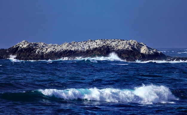 Piękny krajobraz wybrzeża z falami oceanu i skałami na wybrzeżu Pacyfiku w Kalifornii.