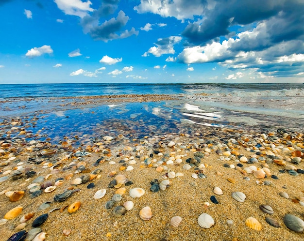 Piękny Krajobraz. Wybrzeże Morza Lub Oceanu